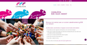 Le site Cametléon version 2021